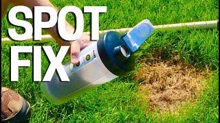 Easy TRICK to Fix Bare Spots in the Lawn - Pet Damage