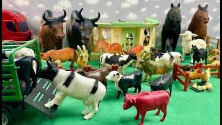 FARM ANIMALS, COWS, OX, GOAT, HORSE, DOG/ANIMAIS DA FAZENDA, VACA, BOI, CAVALO, GALO, CABRA