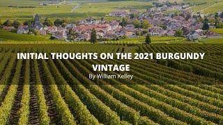 First Thoughts on the 2021 Burgundy Vintage by William Kelley