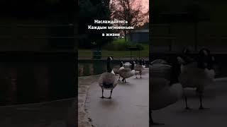 Наслаждайтесь жизнью  🫶 #жизнь #цитатыпрожизнь ##поездка #моменты ￼