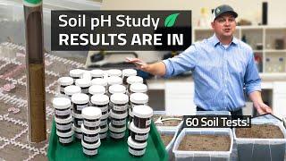 Soil pH Amendments and Rates  |  1 Month Update