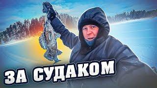 ПОЙМАЛ ТРОФЕЙНОГО  СУДАКА НА ФЛАЖОК ЕЛЕ ЗАЛЕЗ В ЛУНКУ #зимняярыбалка #FISHINGKARELIA