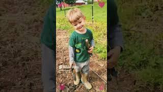 RMSpeltz Farm Youtube Shorts 2024 for all, Enjoy, Happy New Year #homestead #homesteading #farming