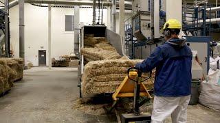 Take a tour of a hemp processing plant