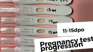 Finding Out I'm pregnant + Test Progression 11-15DPO | Becca Halm