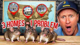 I Travelled Across America to Fix 3 Rat Infested Homes