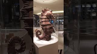 Jean Phillippe chocolate shop at msc world europa cruise #chocolate #dubai #europe #Jean-Philippe