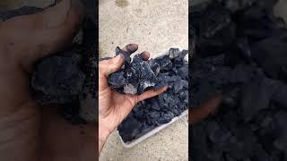 How to Make Biochar  #gardening #garden #gardentips #biochar