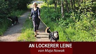 AN LOCKERER LEINE - Wilma - von Maja Nowak - Teil 4