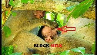 Oh Mygod! janet remove Milk And Block Baby Janna Drink | Why Janet Still Disturb Milk janna