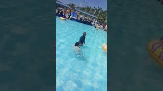 challenge suami istri berenang #shortvideo #shortsviral #berenang