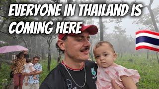 Everyone In Thailand Is Coming HERE