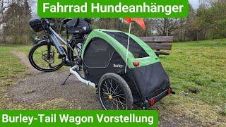 Fahrrad Hundeanhänger - Burley Tail Wagon Vorstellung