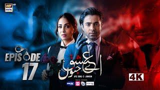 Aye Ishq e Junoon Episode 17 | Ushna Shah | Sheheryar Munawar | 6 Jan 2025 | ARY Digital