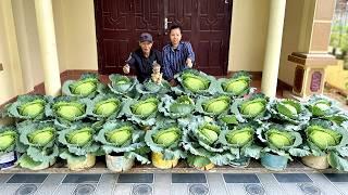 How does Grandpa Kaki's garden always stay full of fresh vegetables?