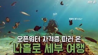 여자 혼자 세부 여행가서 스쿠버다이빙 오픈워터 따기, 경비 정리까지! [세부 여행 1편]