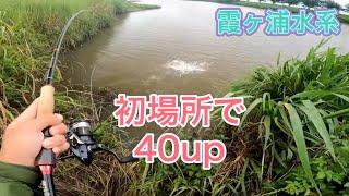 【6月】初めて来たエリアで釣れるの最高！しかしハプニングが...。『霞ヶ浦水系』【バス釣り】