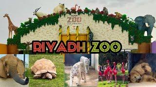 Riyadh Zoo Tour/Malaz/New Look/Biggest Zoo in KSA