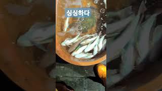 군침쏵~~~도네 #40대어부 #새벽조업 #오징어#동해#울진바다 #유튜브숏츠 #쥐치 #고기