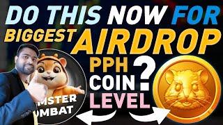 How To Get Big Airdrop In Hamster Kombat | HAMSTER Listing, Withdrawal, Daily Combo & News