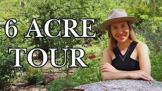 Part 1: Self Sufficient Homestead Tour | Summer Update | Homesteading in South East Queensland