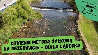 Jak łowić metodą żyłkową? | 02.07.2023 Rezerwat na rzece Biała Lądecka