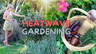 How to keep your garden ALIVE in a HEATWAVE ️ Summer Gardening Tips - Perth Australia