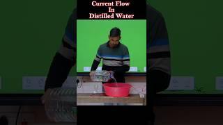 Current Flow In Distilled Water || The Shiksha Academy || Experiments || #shorts #virals #youtube