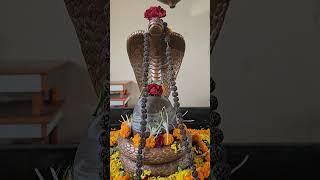 Trimbakeshwar pooja#BestPandit kaal sarp pooja Trimbakeshwar