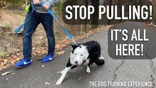 How To STOP LEASH Pulling From Start to Finish!