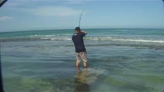 Perth Yanchep Lagoon tailor , Fishing WA Series 3 Ep 8 Part 1