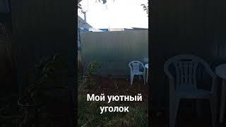 Мой уютный уголок в саду