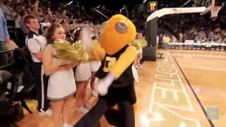 Mascot Madness: Creating a Buzz