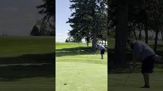 Chip In Birdie #shorts