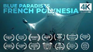 Diving FRENCH POLYNESIA - Tahiti - Underwater Video 4K - BLUE PARADISES (S01)