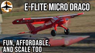 Good Things Come in Small Packages - E-flite Micro Draco 800mm