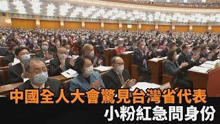 中國全國人民代表大會驚見「台灣省代表團」　小粉紅急問：他們是誰？－民視新聞