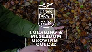 Foraging & Mushroom Growing Course | Urban Farm-It