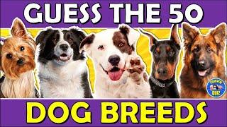 Guess the "DOG BREED" QUIZ!  Challenge/Trivia/Test