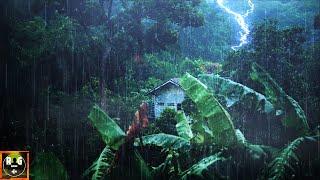 Rainforest Ambience: Rain Sounds, Jungle Animals and Thunder in the Distance | Relaxing Sleep Sounds