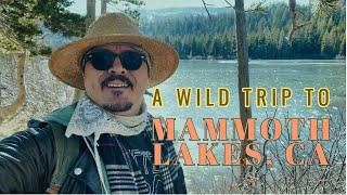 MAMMOTH LAKES. BEST THINGS TO DO IN MAMMOTH LAKES by CALIWAG