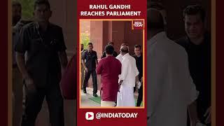 Watch: Rahul Gandhi Reaches Parliament | Rahul Gandhi Disqualification News | #shorts