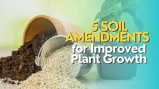 Top 5 Soil Amendments for Improved Plant Growth