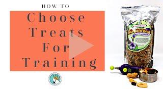 How To Use Treats in Bird Training