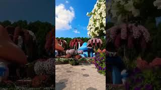 Dubai Miracle Garden #miraclegarden #miracle #trending #dubai #atravel #viral #newyear2023 #youtube