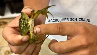 Petite technique pour accrocher un crabe