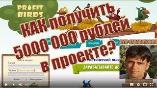 заработок 5000000 рублей в интернет проекте profit-birds проект money-birds