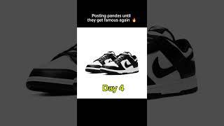 They’re getting better  #sneakers #2025 #daily #nike #sneakerhead #panda #sneakernews