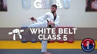 Taekwondo Follow Along Class - White Belt - Class #5