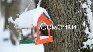 к/ф " Семечки"